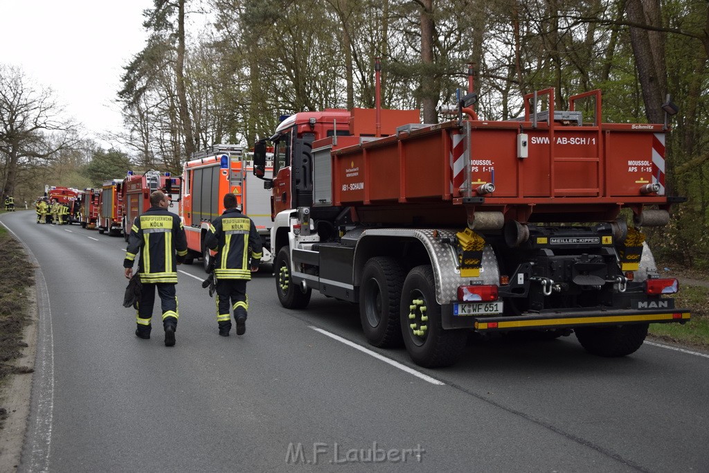 Waldbrand Wahner Heide Troisdorf Eisenweg P250.JPG - Miklos Laubert